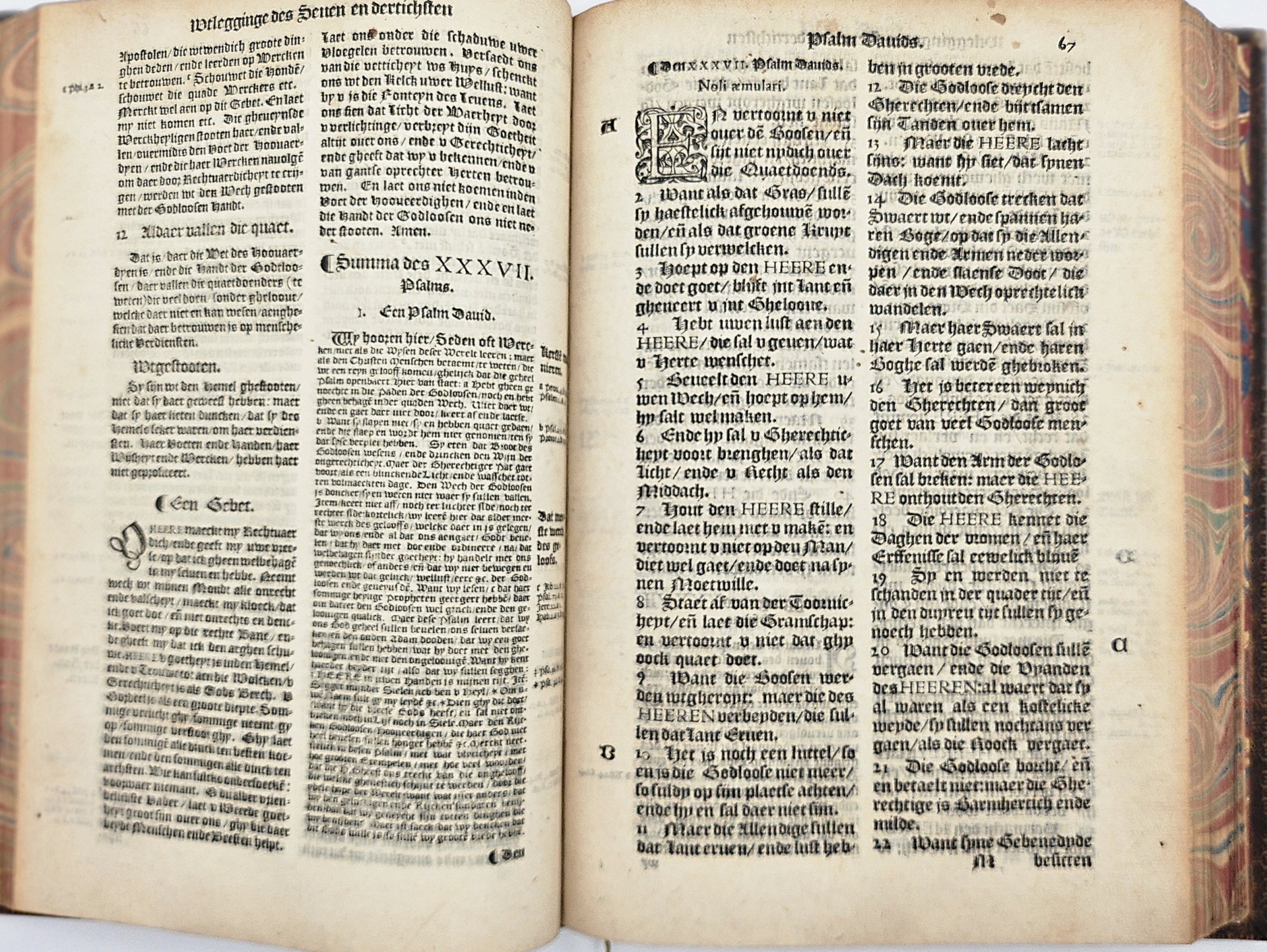A rare Dutch edition of Bugenhagen's Latin Psalter with Bucer’s German translation and commentary. - Afbeelding 7