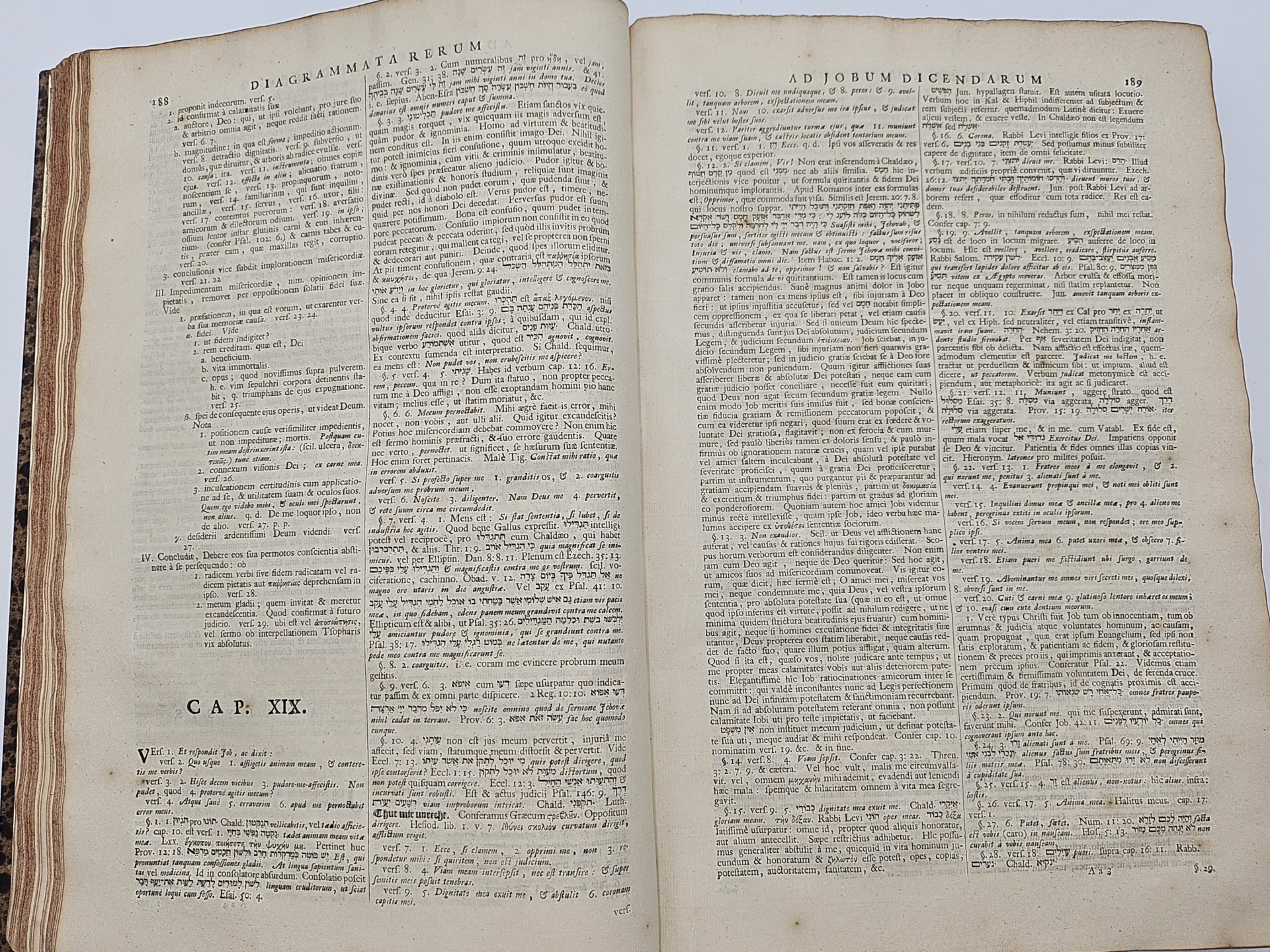 Most authoritative, third edition of Coccejus's collected works, edited posthumously. - Image 4