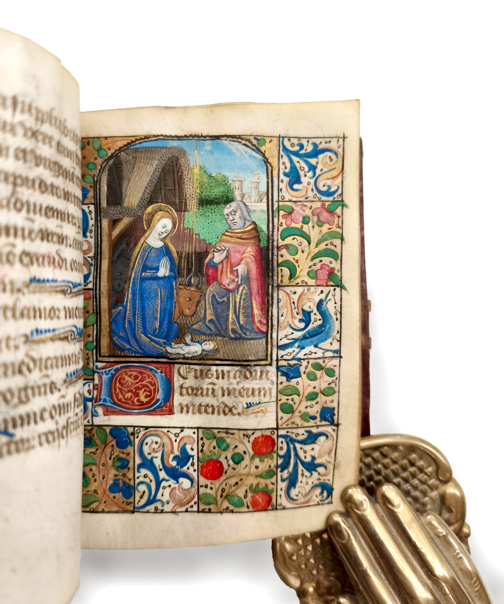 洋書 Illuminated Manuscripts 洋書 Illuminated Manuscripts Amazon.co.jp: Western European